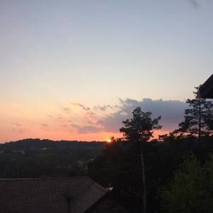 Meet your Posher, Allyson